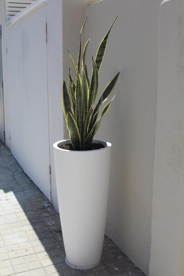 Don Francisco Rooms Tropea Exterior foto